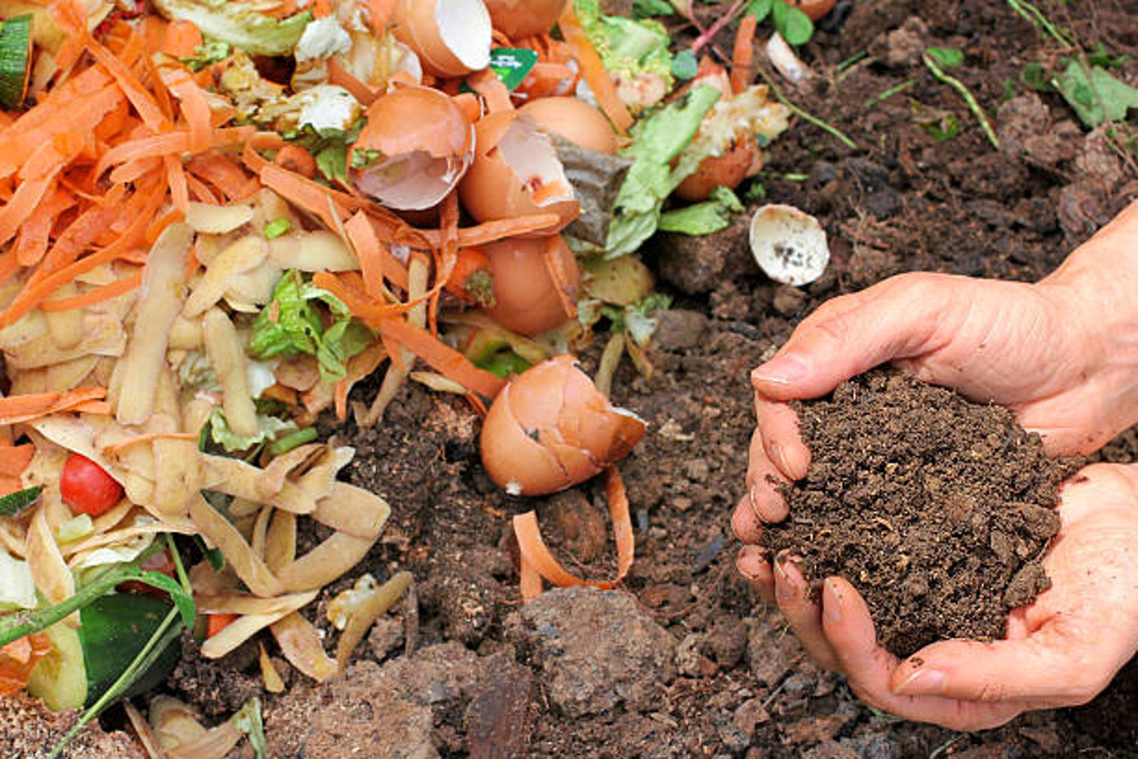 A Guide To Composting